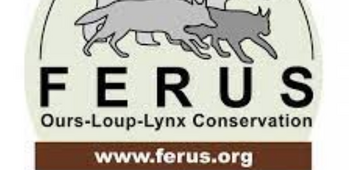 FERUS